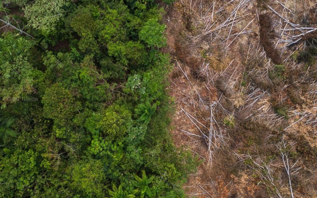 Zašto se klimatske promjene događaju i kako utječu na nas Zašto se klimatske promjene događaju i kako utječu na nas