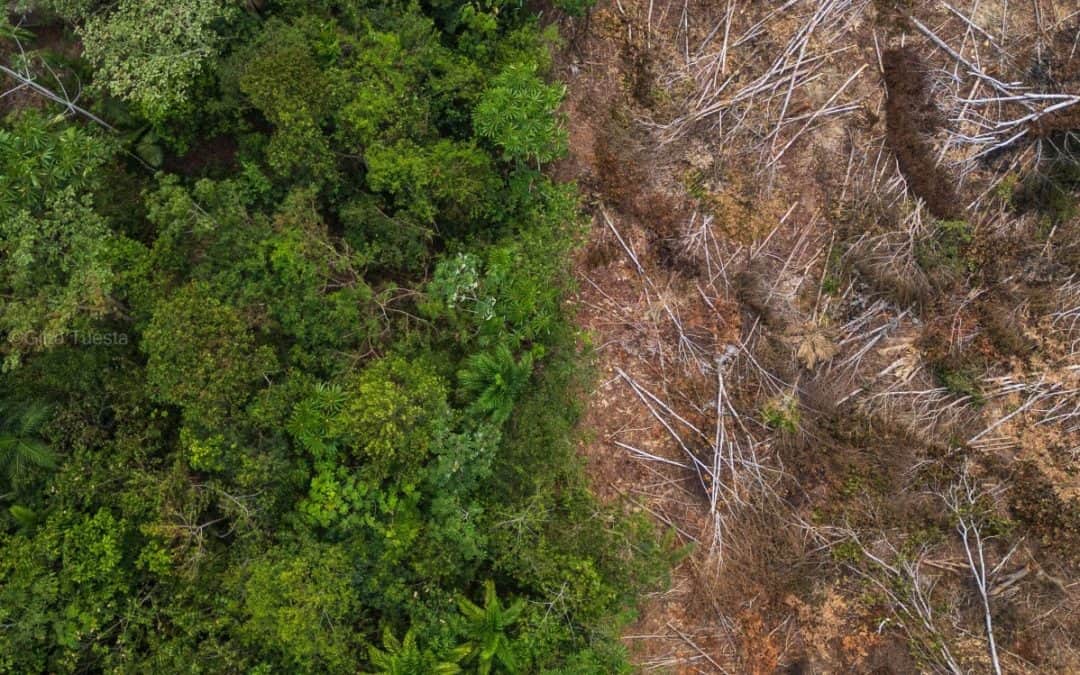 Zašto se klimatske promjene događaju i kako utječu na nas